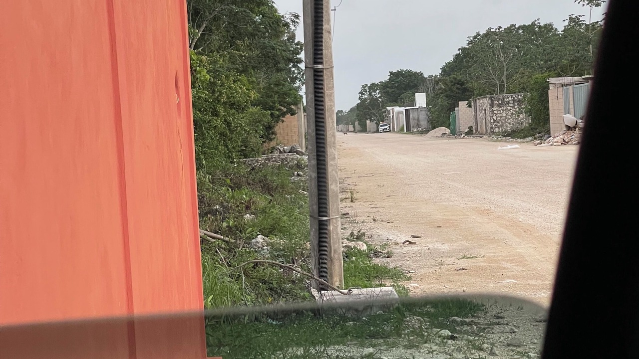 Photo of Others in Cancun