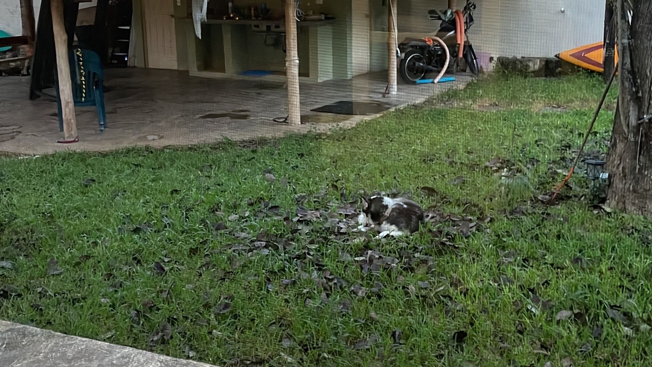 Photo of Outdoor in Cancun