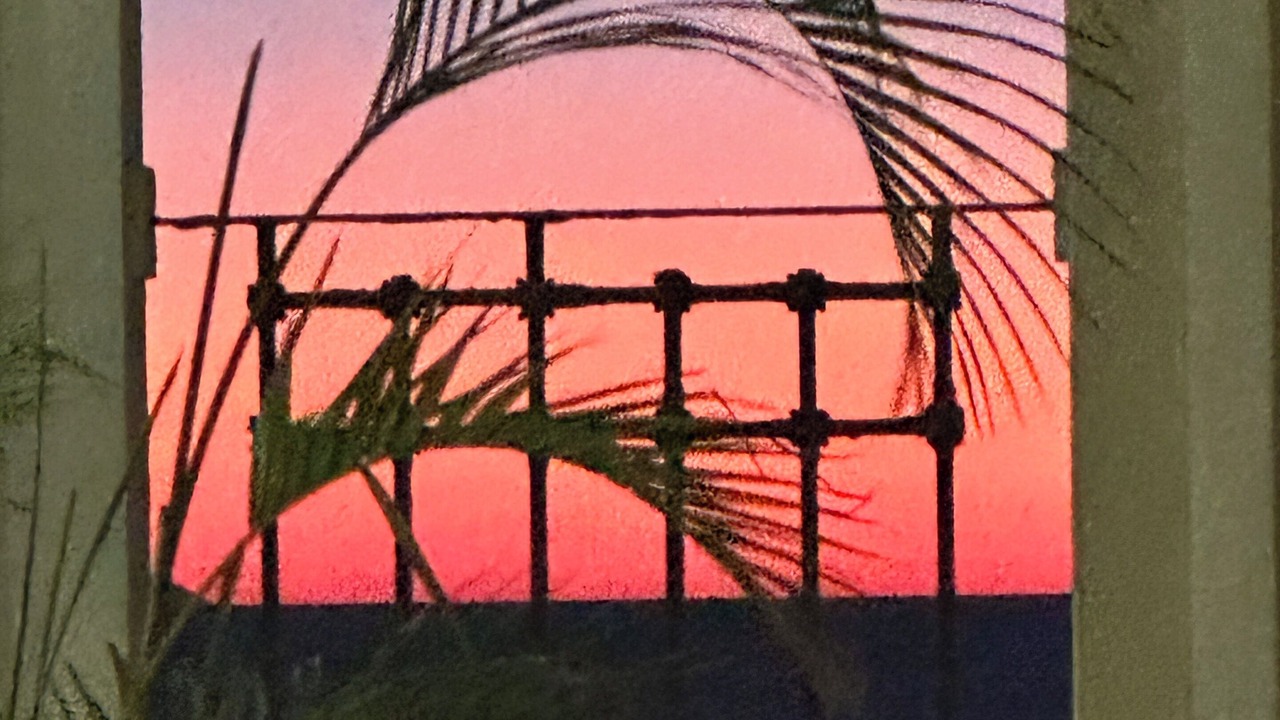 Photo of Others in Marina Vallarta