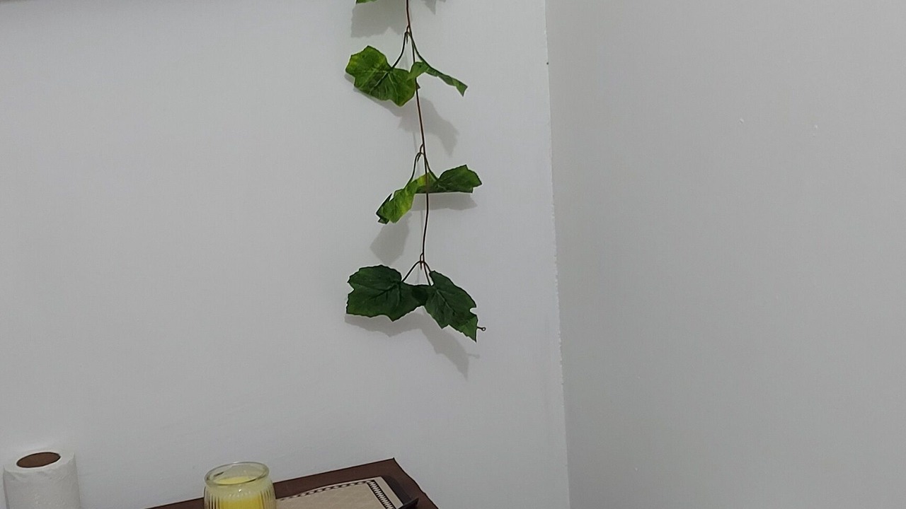 Photo of Bathroom in Queretaro