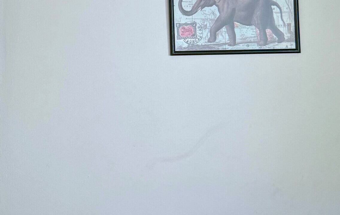 Photo of Bedroom in Reforma