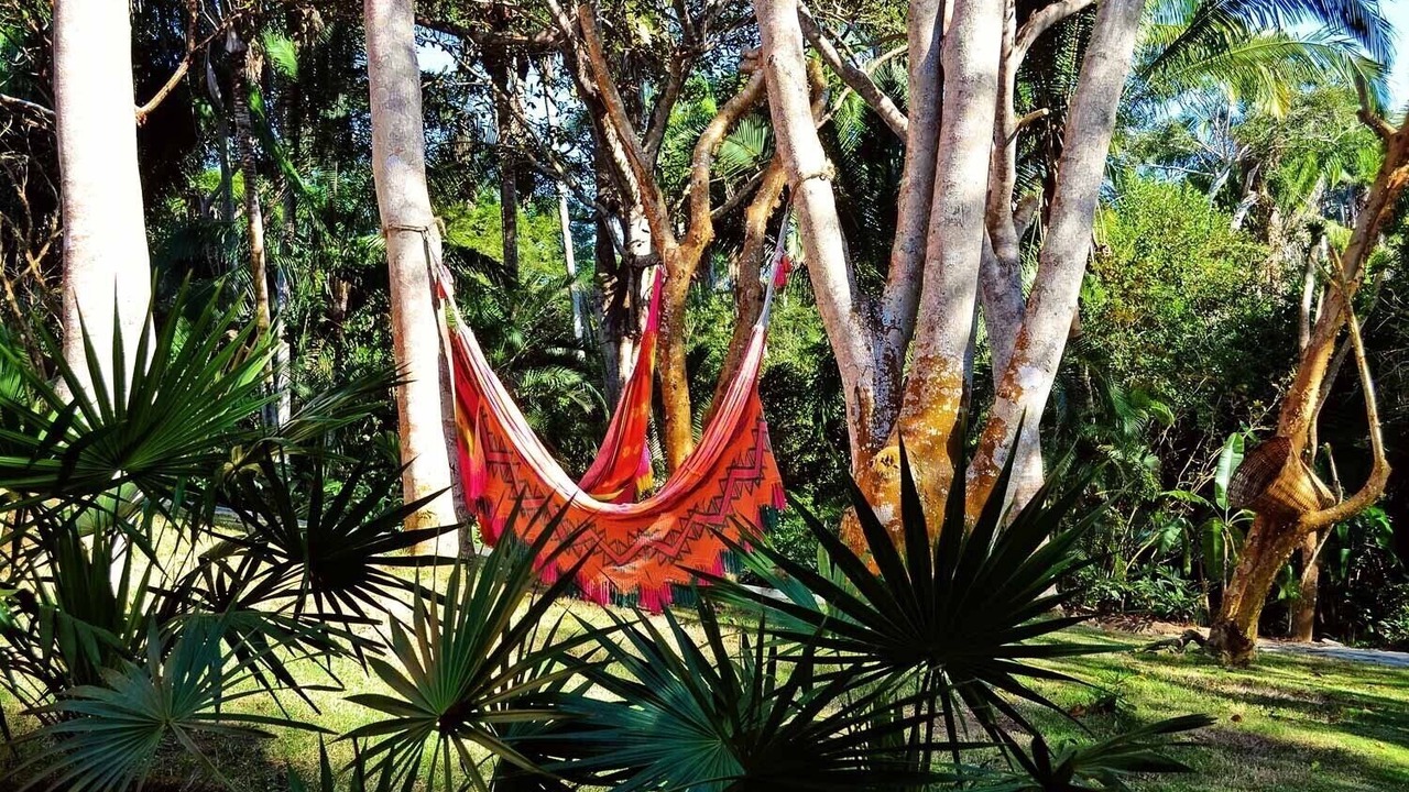 Photo of Outdoor in Sayulita