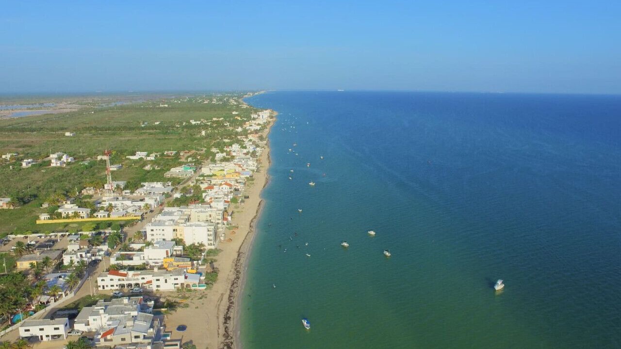 Photo of Others in Chicxulub Puerto