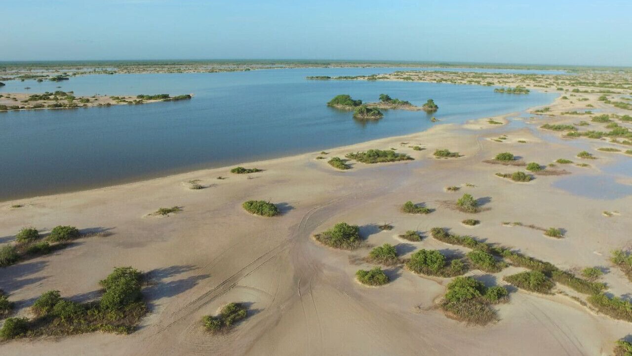 Photo of Others in Chicxulub Puerto