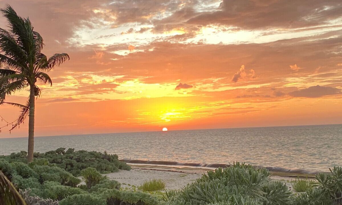 Photo of Others in Chicxulub Puerto
