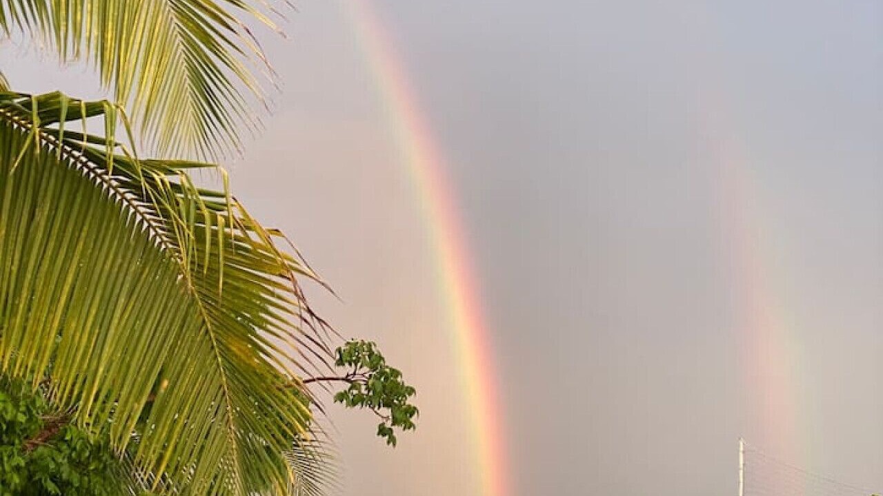 Photo of Others in Chicxulub Puerto