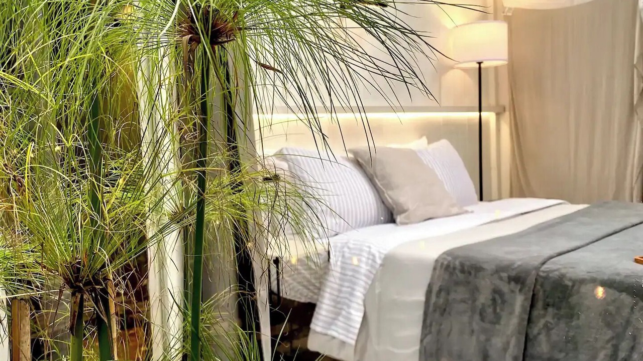 Photo of Bedroom in Contadero