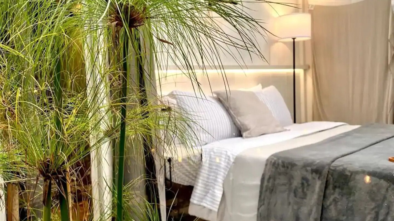 Photo of Bedroom in Contadero