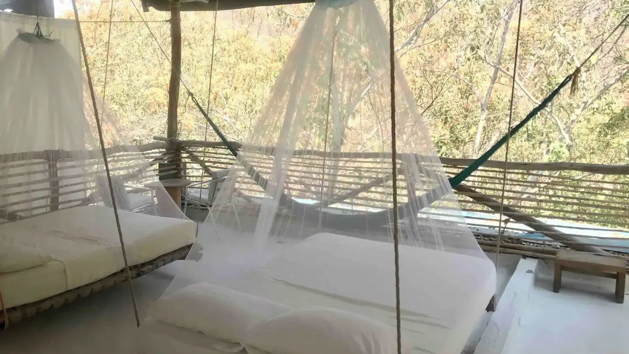 Photo of Outdoor in Arroyo Cruz