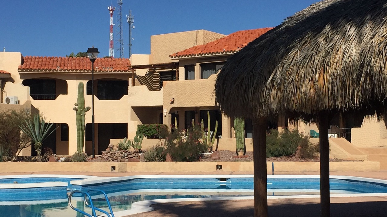 Photo of Outdoor in San Carlos