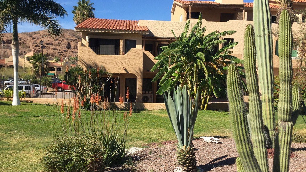 Photo of Outdoor in San Carlos