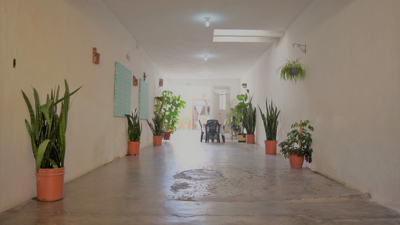 Photo of Others in Centro