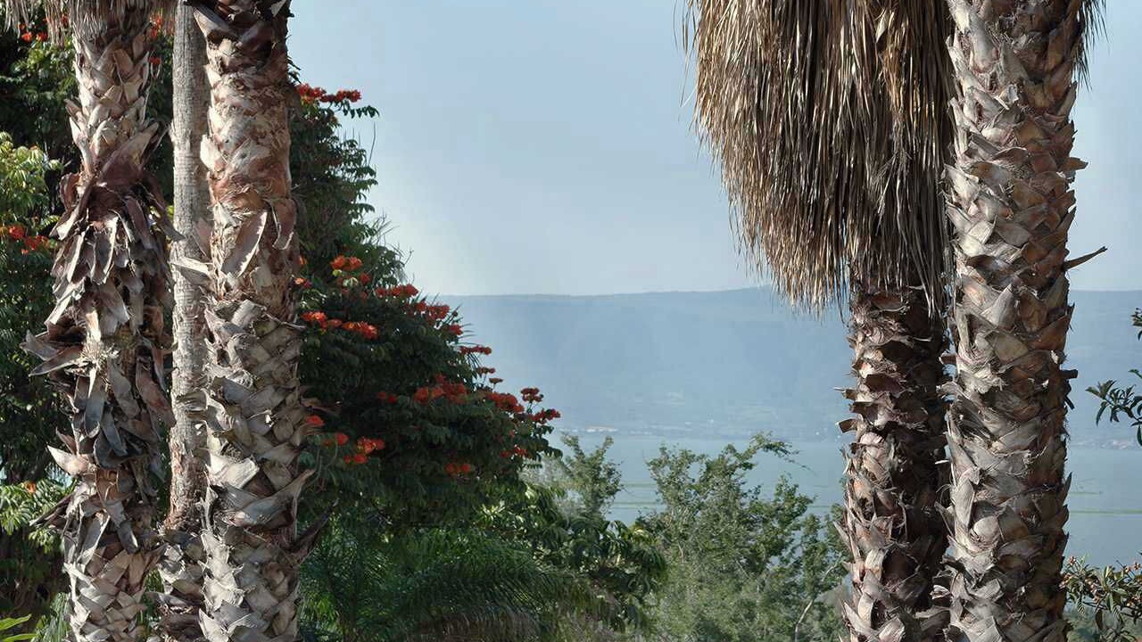 Photo of Outdoor in Ajijic