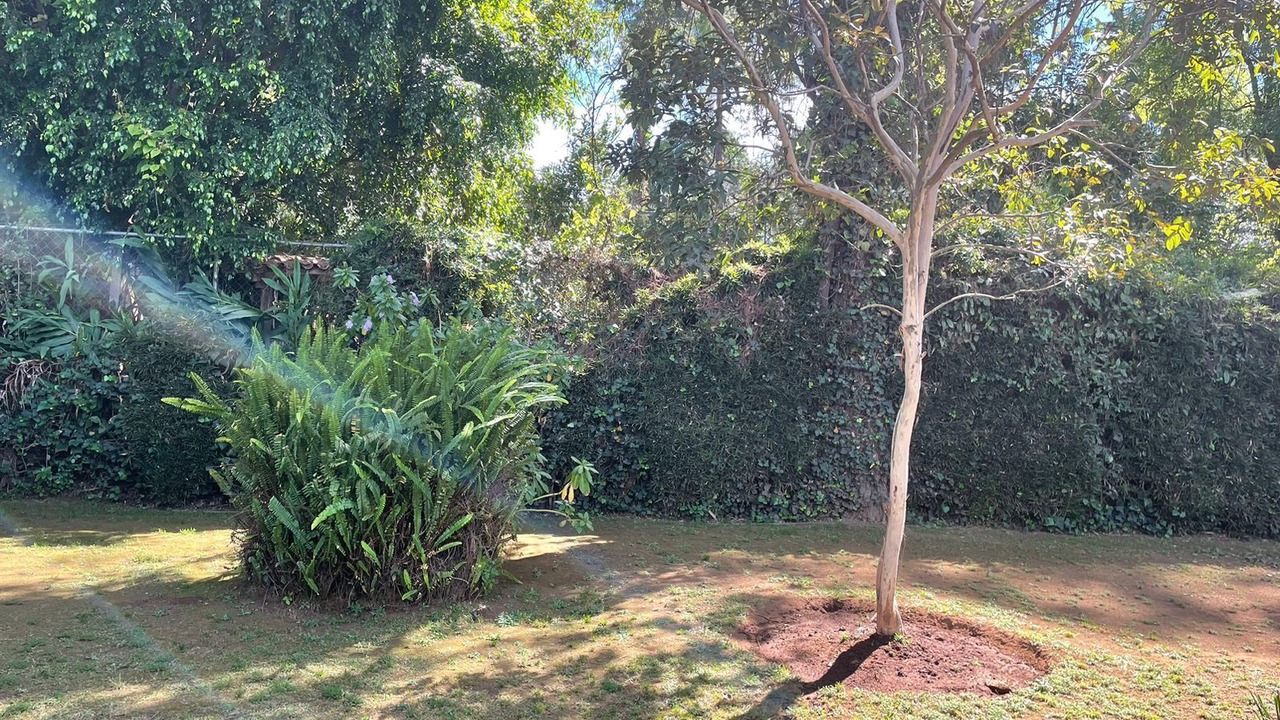 Photo of Outdoor in Avandaro