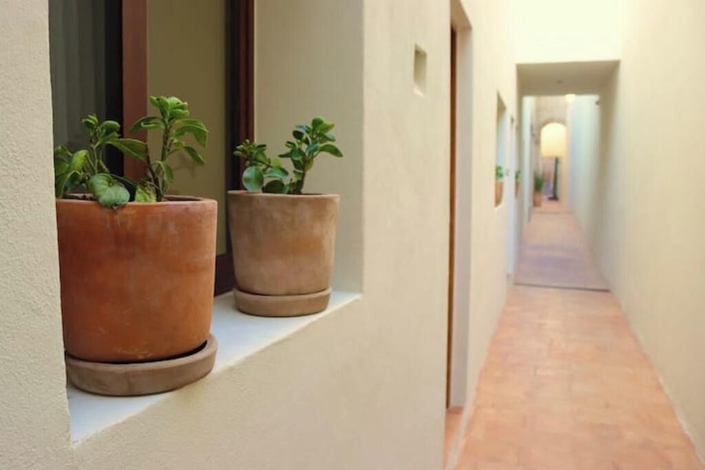 Photo of Outdoor in Los Mochis