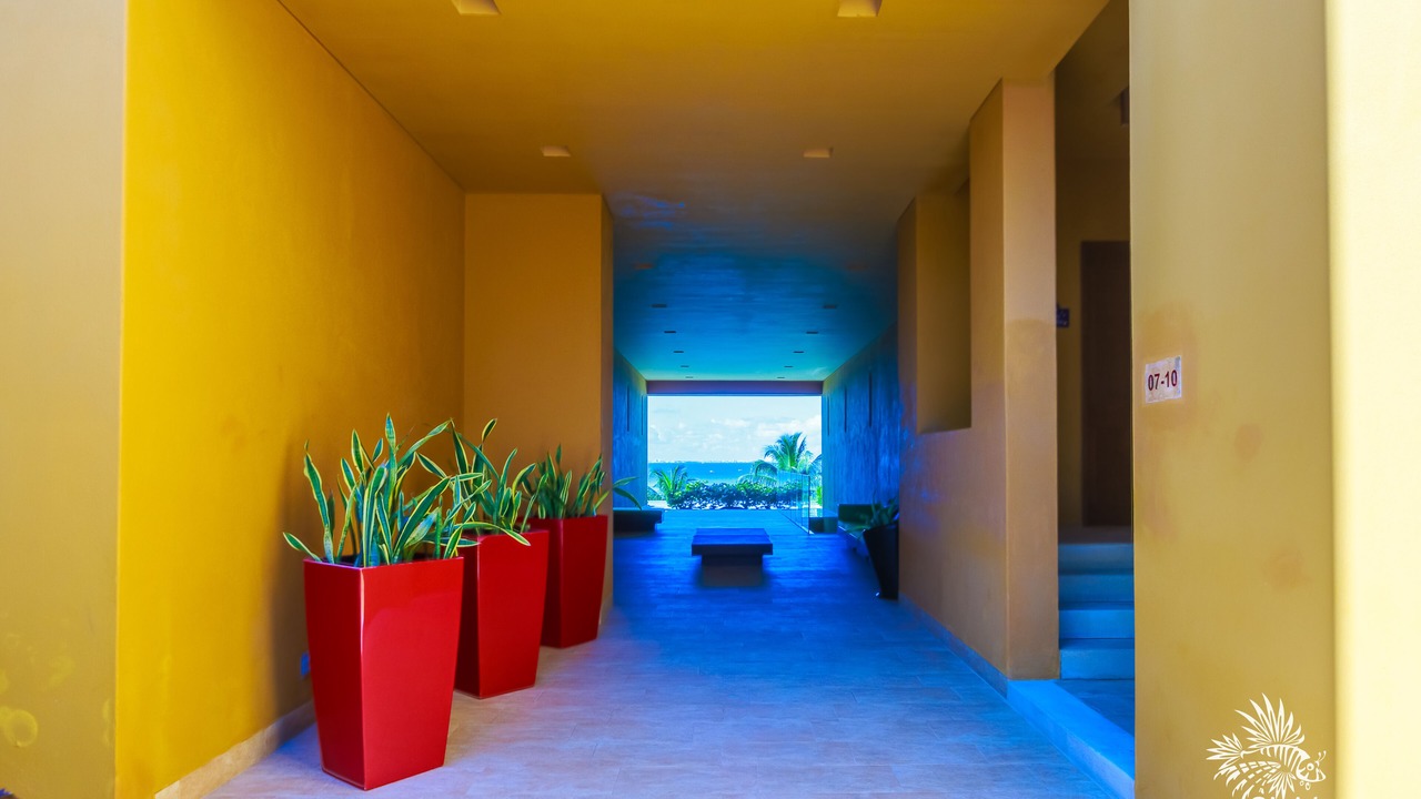 Photo of Outdoor in Isla Mujeres