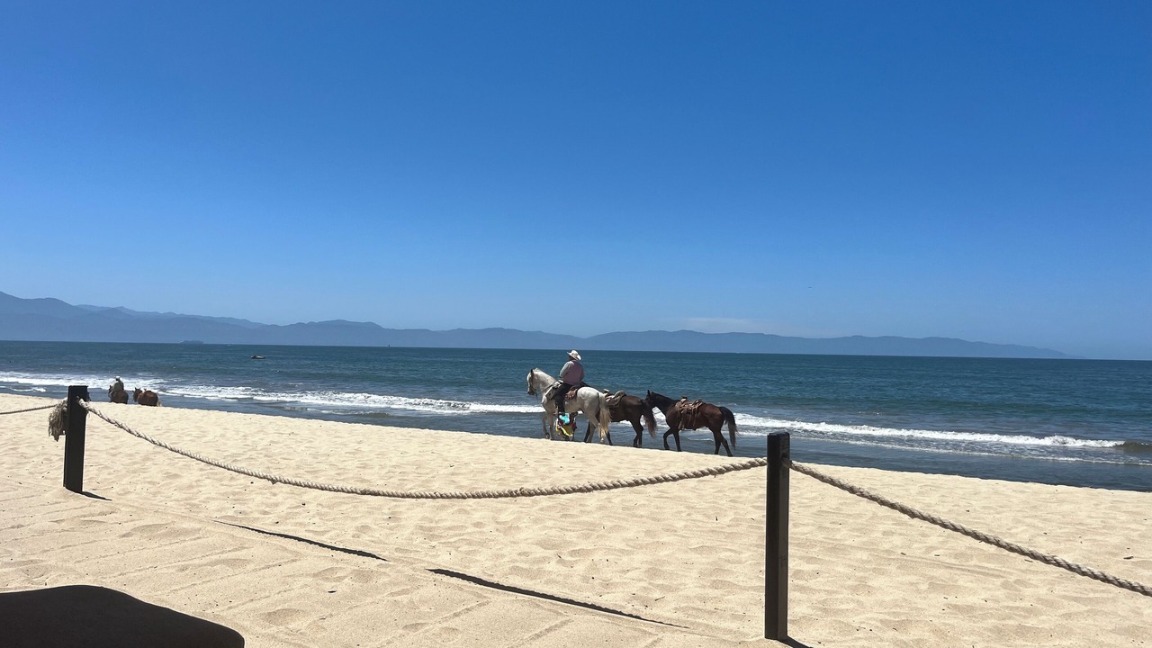 Photo of Others in Flamingos