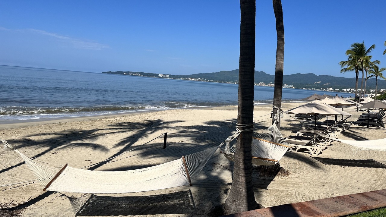 Photo of Others in Flamingos