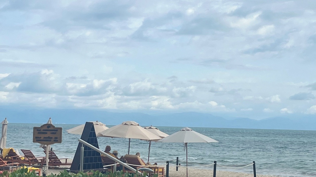 Photo of Others in Flamingos