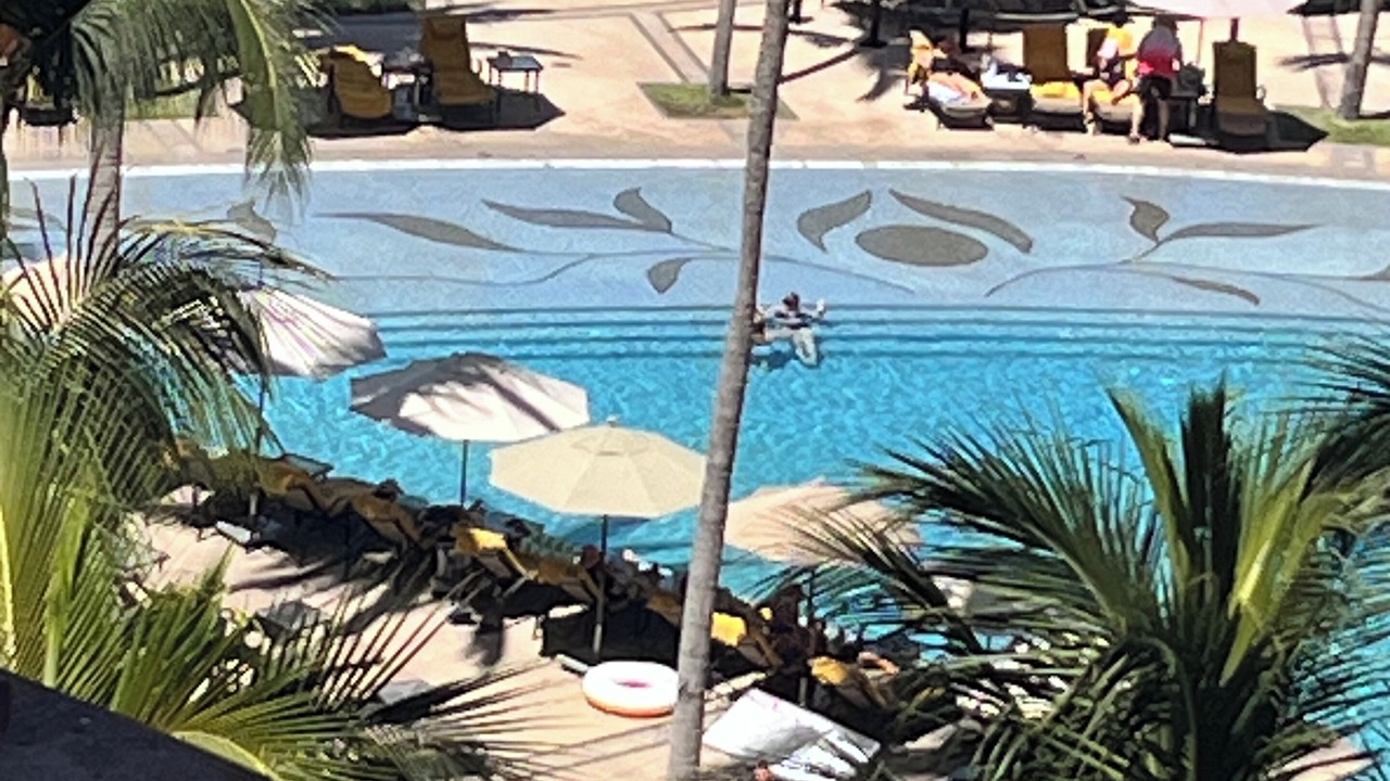 Photo of Outdoor in Flamingos