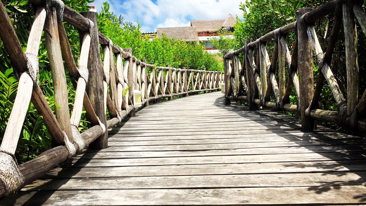 Photo of Others in Costa Maya
