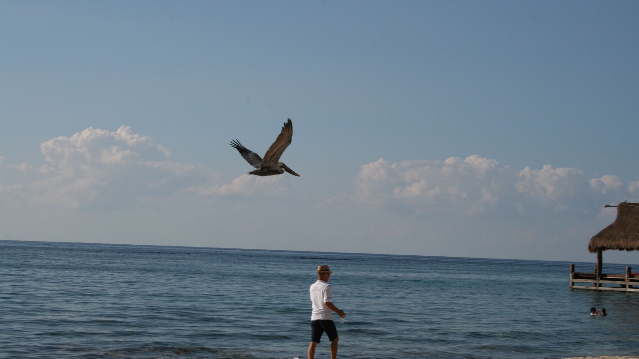 Photo of Others in Costa Maya