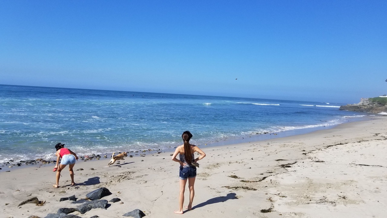 Photo of Others in Las Gaviotas