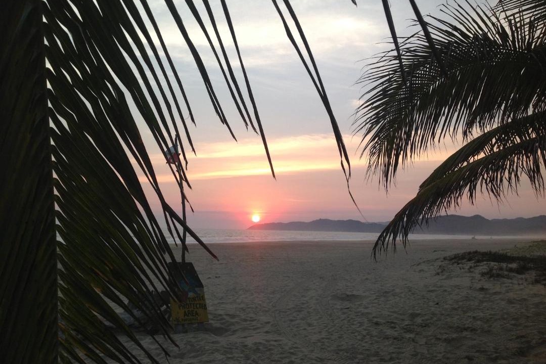 Photo of Others in Ixtapa - Zihuatanejo