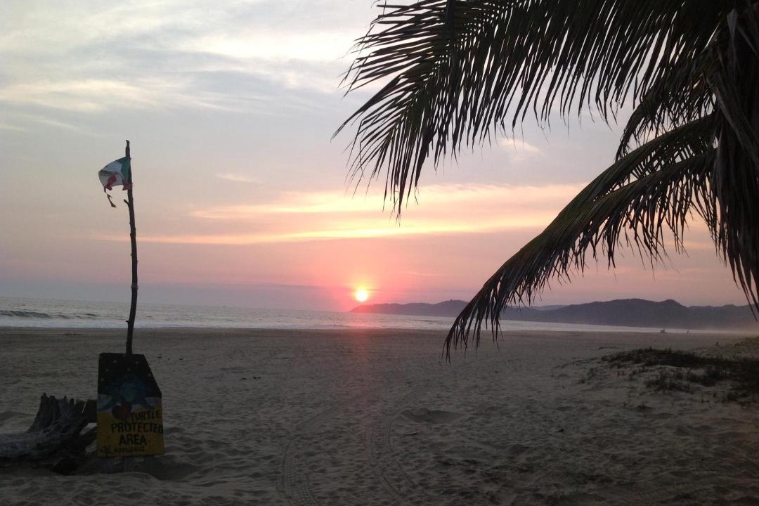 Photo of Others in Ixtapa - Zihuatanejo