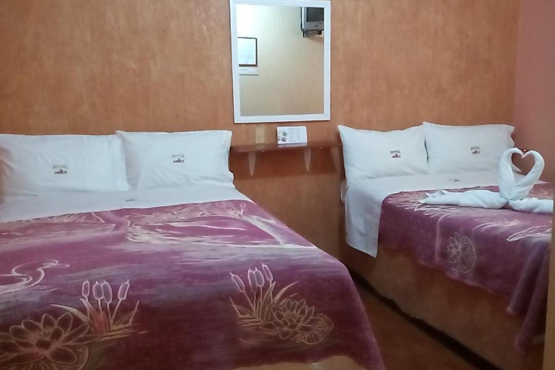 Photo of Bedroom in Tlaxcala