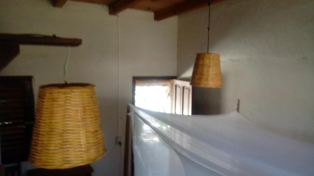 Photo of Others in Mazunte