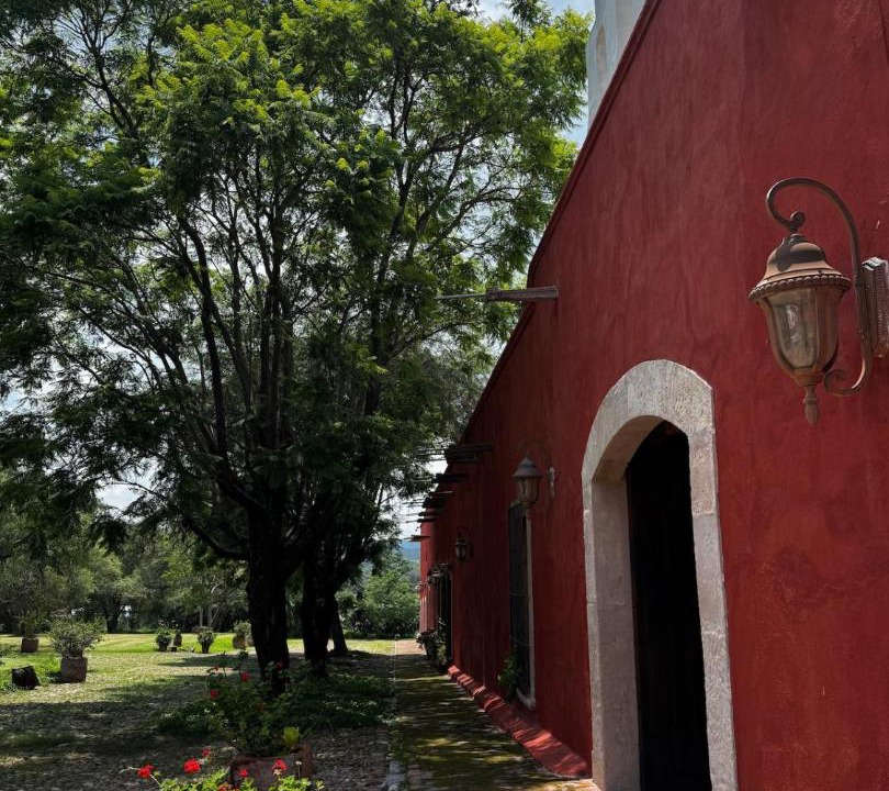 Photo of Others in Lagos de Moreno