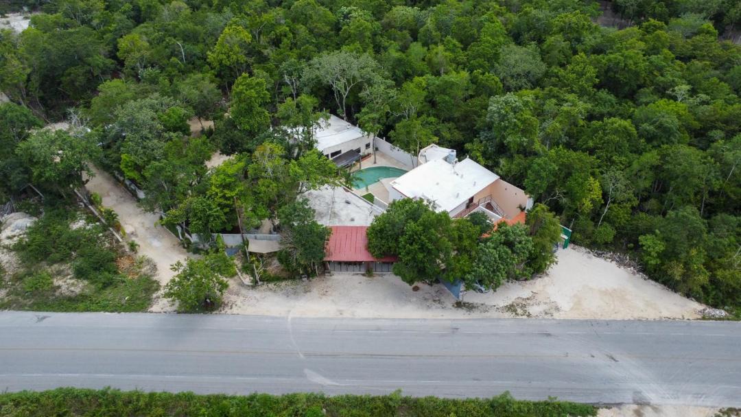 Photo of Others in Tulum