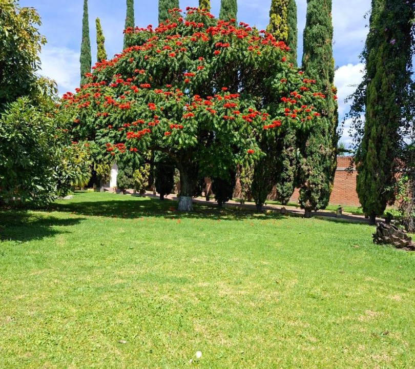 Photo of Outdoor in Puebla Historic Center