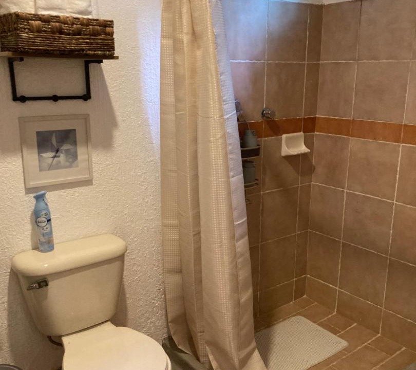 Photo of Bathroom in El Carrizal