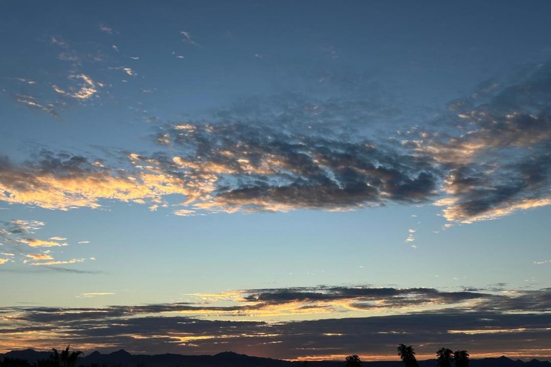 Photo of Others in Zaragoza