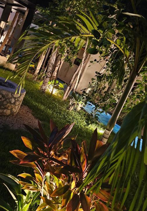 Photo of Others in Tulum