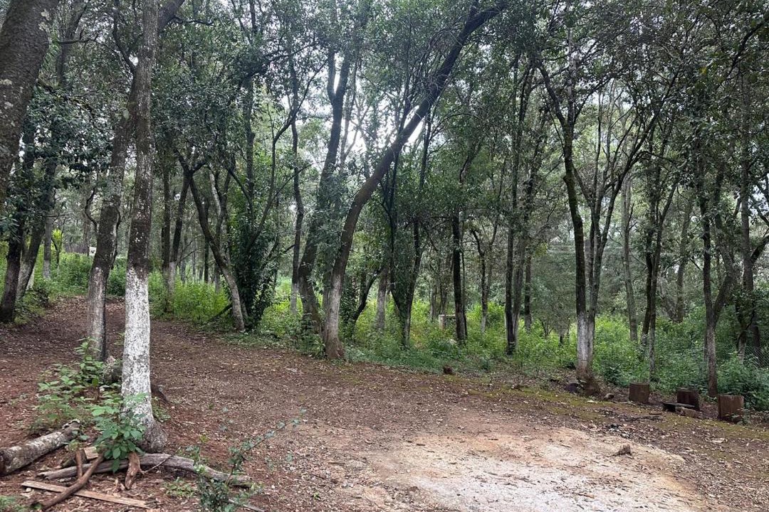 Photo of Others in Villa del Carbon