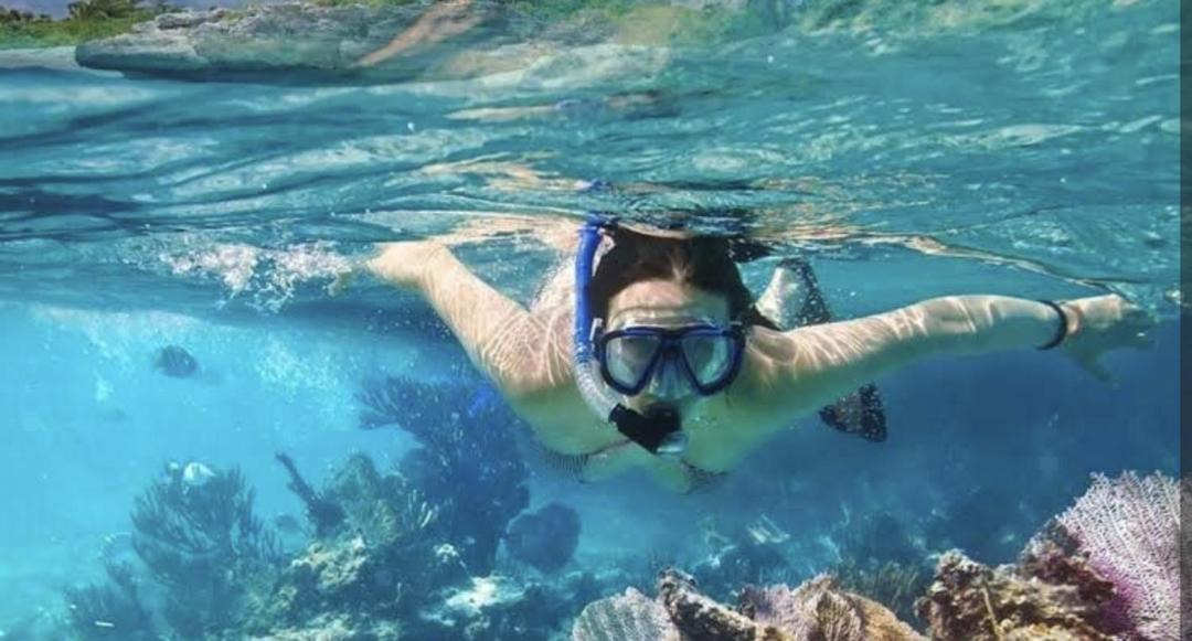 Photo of Human In Picture in Ixtapa