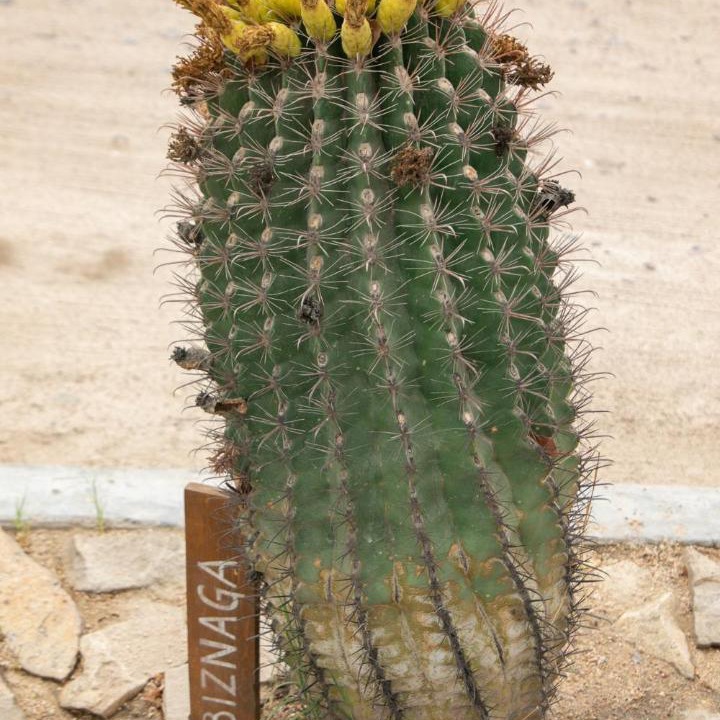 Photo of Outdoor in La Paz