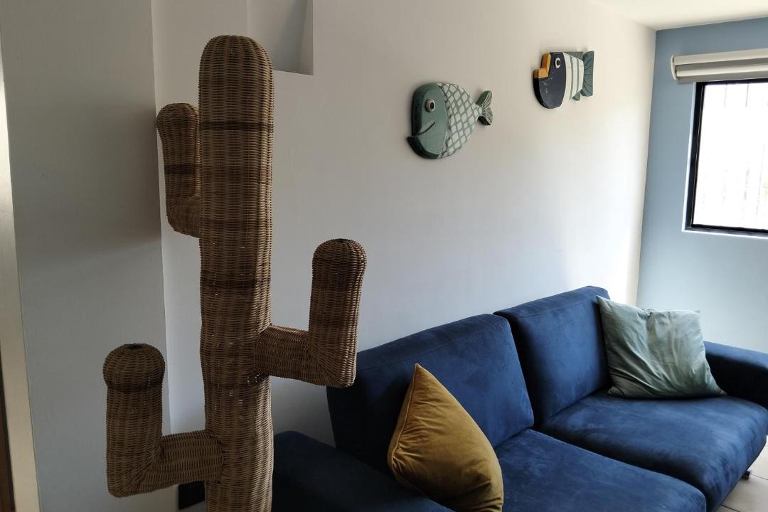 Photo of Livingroom in La Paz