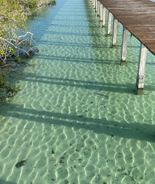 Photo of Others in Mario Villanueva Madrid