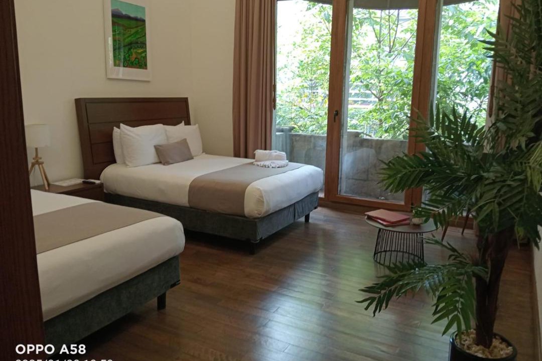 Photo of Others in Zona Rosa