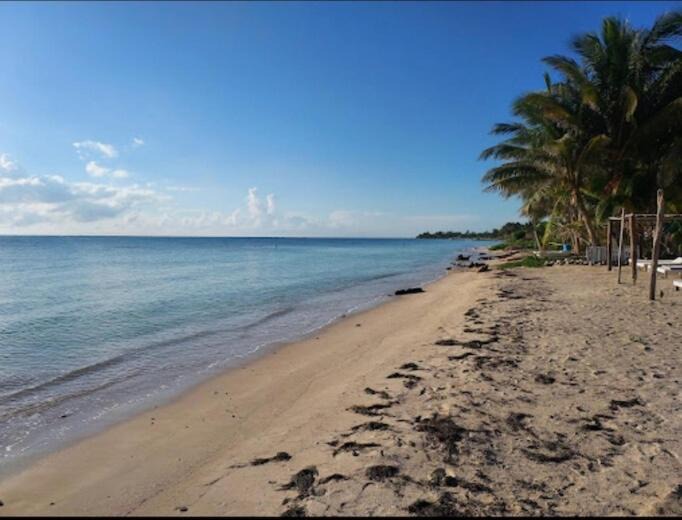 Photo of Others in Majahual