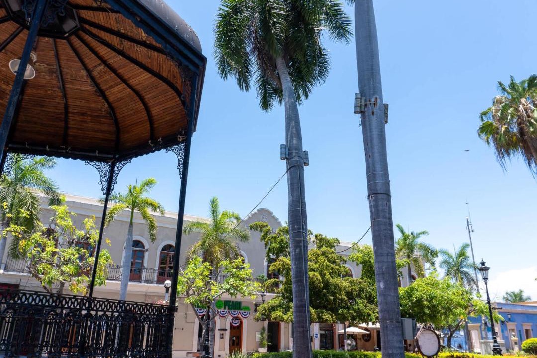 Photo of Others in Downtown Mazatlan