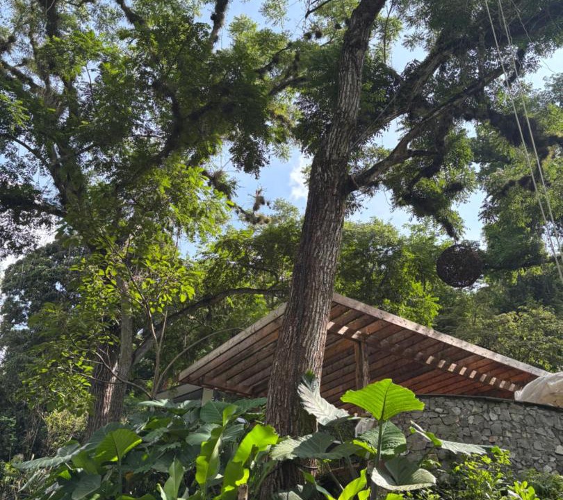 Photo of Outdoor in Gomez Farias