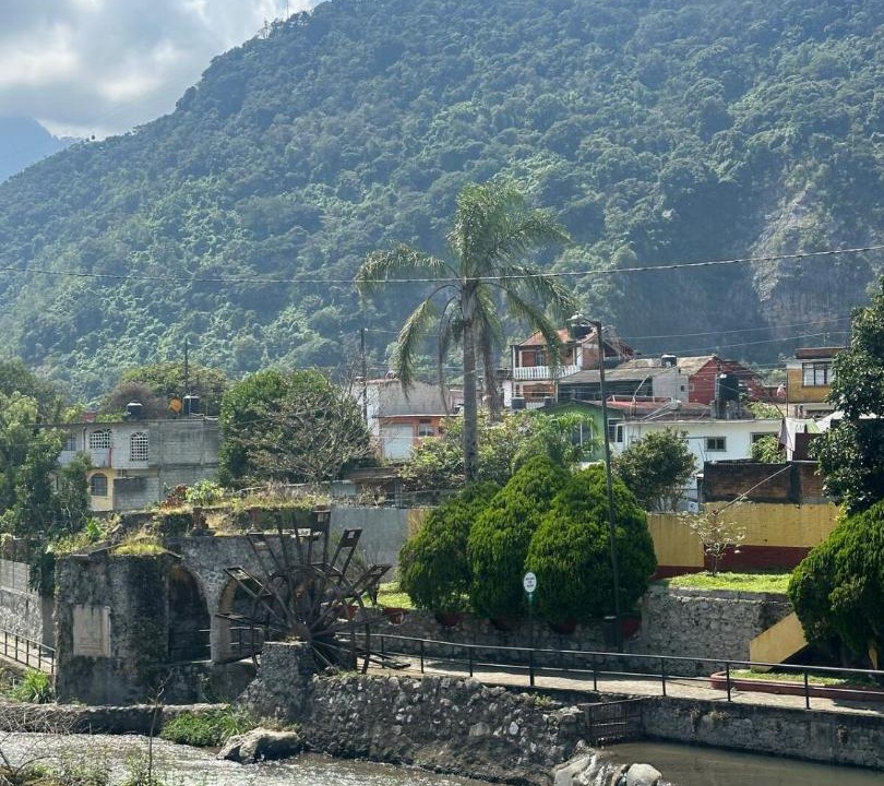 Photo of Others in Orizaba