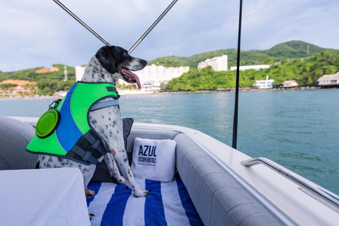 Photo of Others in Ixtapa