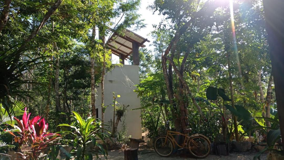Photo of Others in Tulum