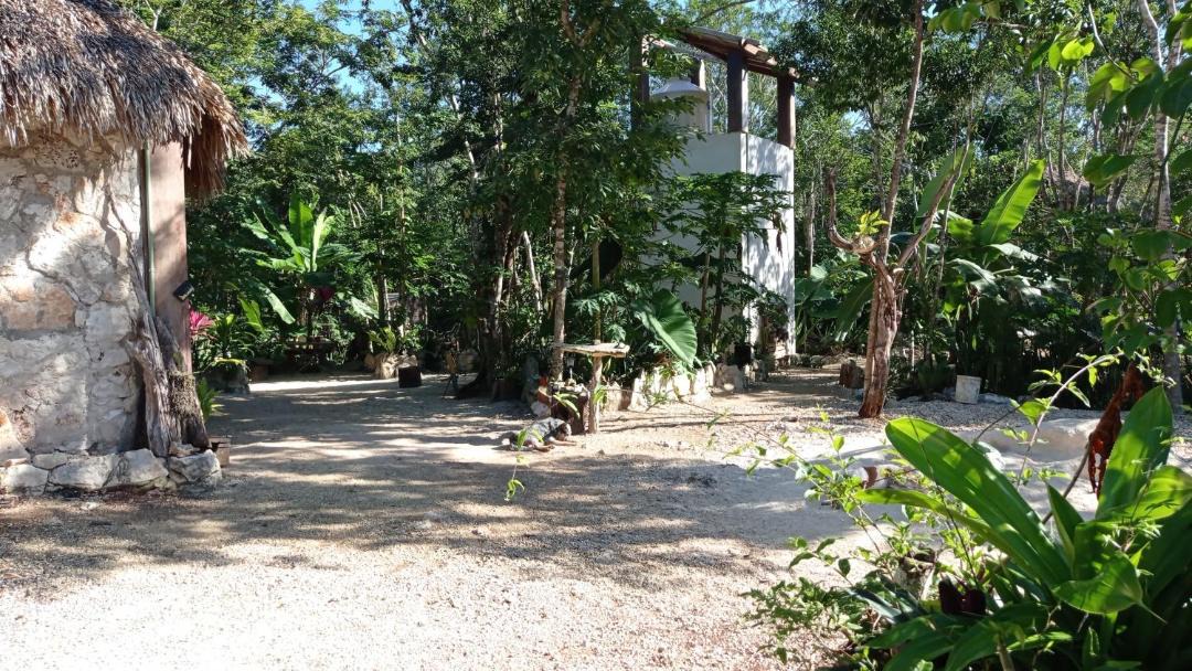 Photo of Others in Tulum